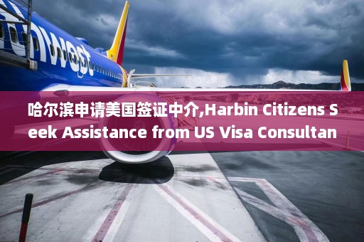 哈尔滨申请美国签证中介,Harbin Citizens Seek Assistance from US Visa Consultants