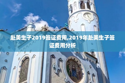 赴美生子2019签证费用,2019年赴美生子签证费用分析