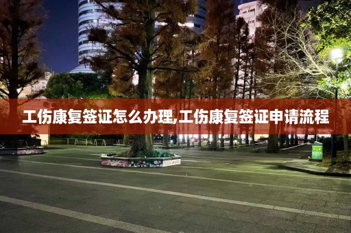 工伤康复签证怎么办理,工伤康复签证申请流程