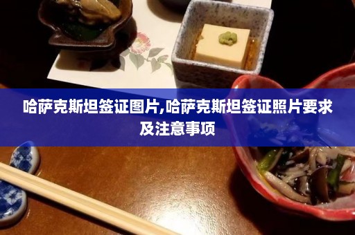 哈萨克斯坦签证图片,哈萨克斯坦签证照片要求及注意事项