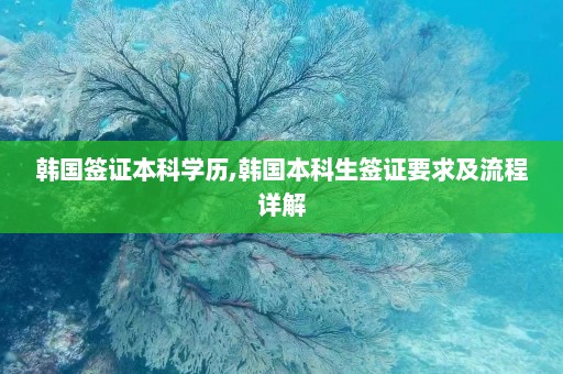 韩国签证本科学历,韩国本科生签证要求及流程详解