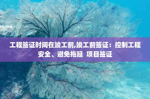 工程签证时间在竣工前,竣工前签证：控制工程安全、避免拖延  项目签证