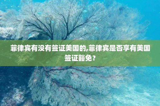 菲律宾有没有签证美国的,菲律宾是否享有美国签证豁免？