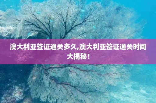 澳大利亚签证通关多久,澳大利亚签证通关时间大揭秘！