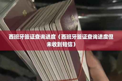 西班牙签证查询进度（西班牙签证查询进度但未收到短信）  第1张