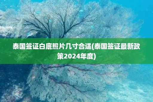 泰国签证白底照片几寸合适(泰国签证最新政策2024年度)