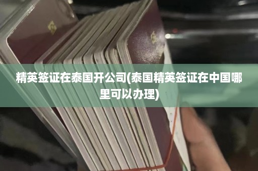 精英签证在泰国开公司(泰国精英签证在中国哪里可以办理)  第1张