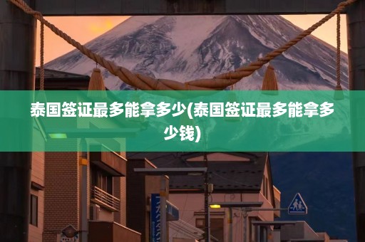 泰国签证最多能拿多少(泰国签证最多能拿多少钱)