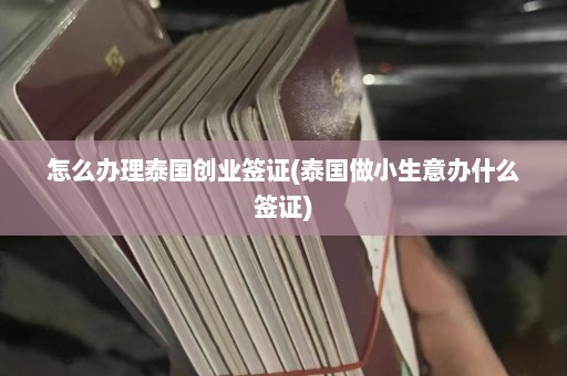 怎么办理泰国创业签证(泰国做小生意办什么签证)  第1张