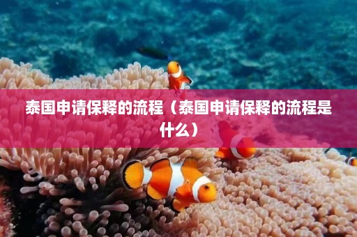 泰国申请保释的流程（泰国申请保释的流程是什么）