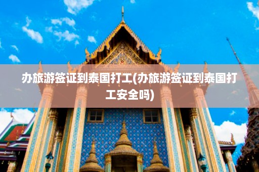 办旅游签证到泰国打工(办旅游签证到泰国打工安全吗)  第1张