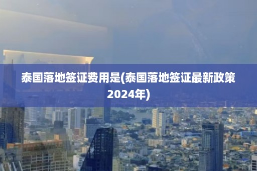 泰国落地签证费用是(泰国落地签证最新政策2024年)  第1张