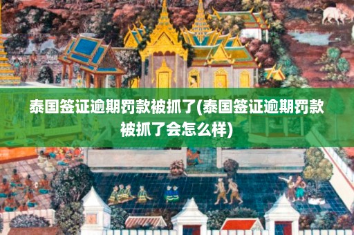 泰国签证逾期罚款被抓了(泰国签证逾期罚款被抓了会怎么样)  第1张