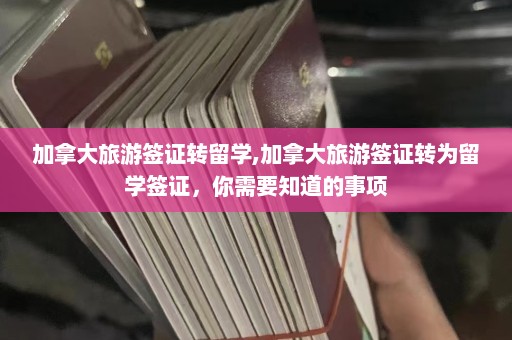 加拿大旅游签证转留学,加拿大旅游签证转为留学签证，你需要知道的事项  第1张