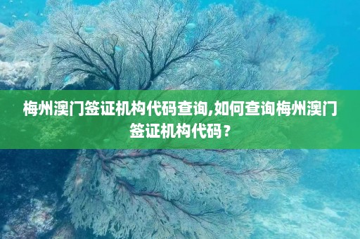 梅州澳门签证机构代码查询,如何查询梅州澳门签证机构代码？