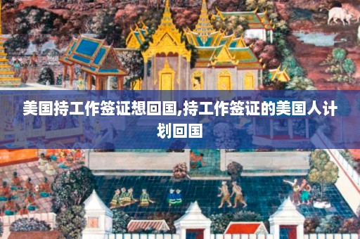 美国持工作签证想回国,持工作签证的美国人计划回国  第1张