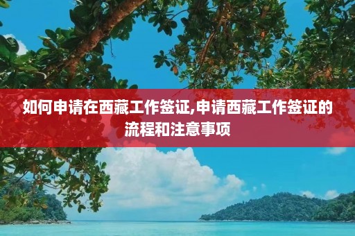 如何申请在西藏工作签证,申请西藏工作签证的流程和注意事项