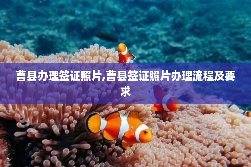 曹县办理签证照片,曹县签证照片办理流程及要求