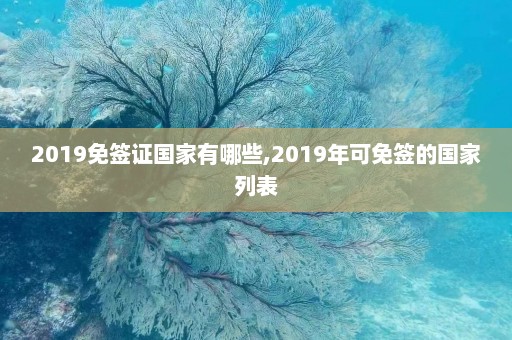 2019免签证国家有哪些,2019年可免签的国家列表