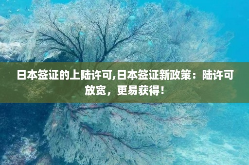 日本签证的上陆许可,日本签证新政策：陆许可放宽，更易获得！