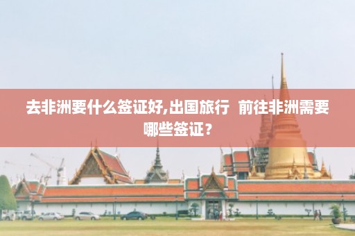 去非洲要什么签证好,出国旅行  前往非洲需要哪些签证？ 第1张