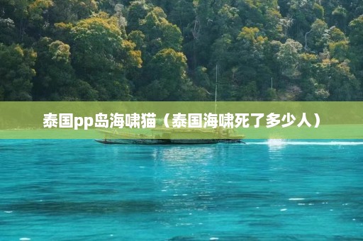 泰国pp岛海啸猫（泰国海啸死了多少人）