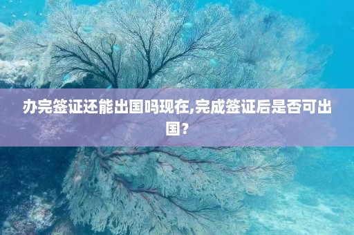 办完签证还能出国吗现在,完成签证后是否可出国？