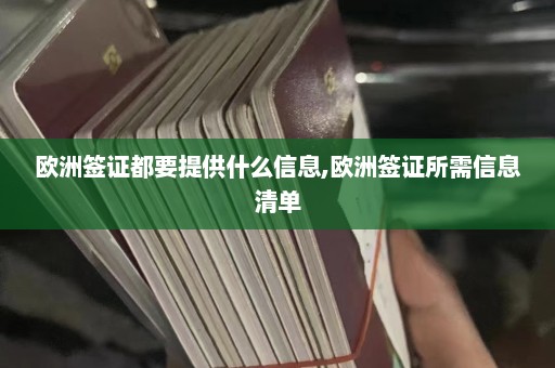 欧洲签证都要提供什么信息,欧洲签证所需信息清单  第1张