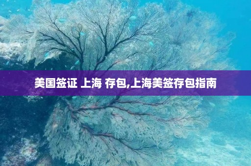 美国签证 上海 存包,上海美签存包指南