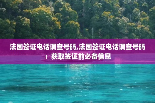 法国签证电话调查号码,法国签证电话调查号码：获取签证前必备信息