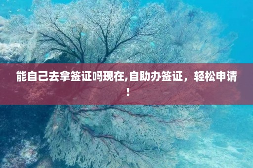 能自己去拿签证吗现在,自助办签证，轻松申请！