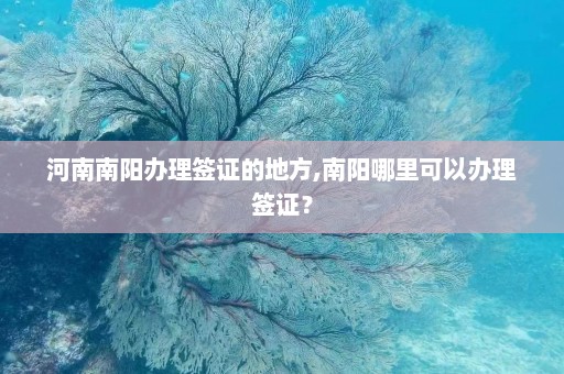 河南南阳办理签证的地方,南阳哪里可以办理签证？