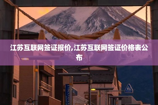 江苏互联网签证报价,江苏互联网签证价格表公布