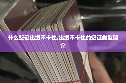 什么签证出境不卡住,出境不卡住的签证类型简介  第1张