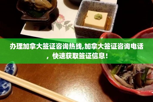 办理加拿大签证咨询热线,加拿大签证咨询电话，快速获取签证信息！  第1张