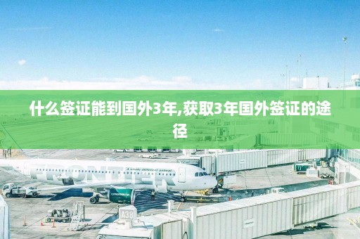 什么签证能到国外3年,获取3年国外签证的途径