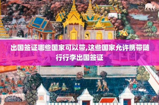 出国签证哪些国家可以带,这些国家允许携带随行行李出国签证  第1张