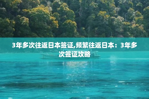 3年多次往返日本签证,频繁往返日本：3年多次签证攻略