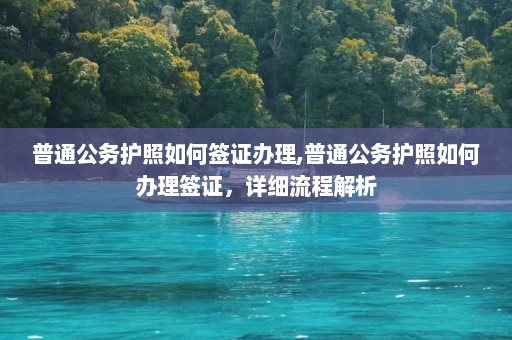 普通公务护照如何签证办理,普通公务护照如何办理签证，详细流程解析