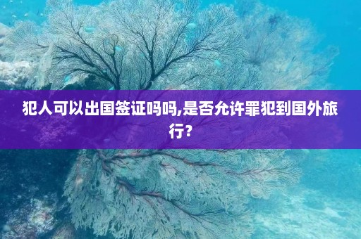 犯人可以出国签证吗吗,是否允许罪犯到国外旅行？