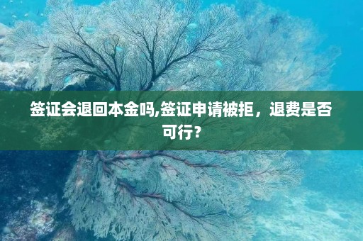 签证会退回本金吗,签证申请被拒，退费是否可行？