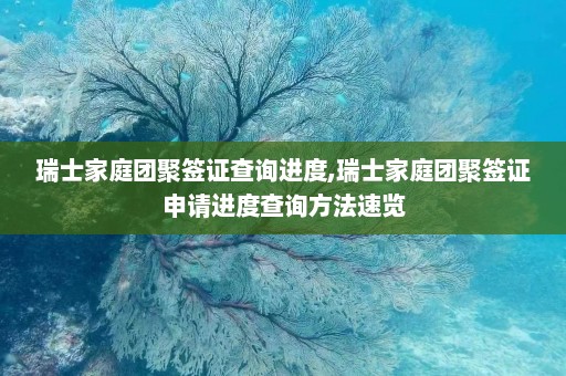 瑞士家庭团聚签证查询进度,瑞士家庭团聚签证申请进度查询方法速览  第1张