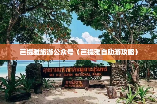 芭提雅旅游公众号（芭提雅自助游攻略）