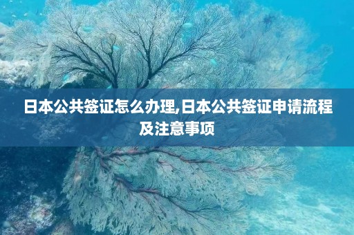 日本公共签证怎么办理,日本公共签证申请流程及注意事项