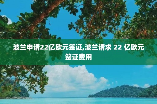 波兰申请22亿欧元签证,波兰请求 22 亿欧元签证费用