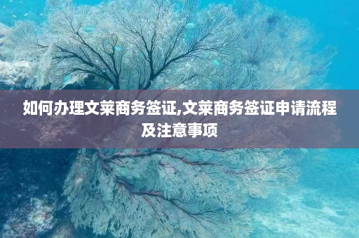 如何办理文莱商务签证,文莱商务签证申请流程及注意事项