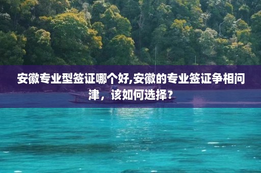 安徽专业型签证哪个好,安徽的专业签证争相问津，该如何选择？