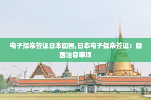 电子探亲签证日本回国,日本电子探亲签证：回国注意事项  第1张