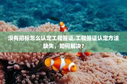 没有招标怎么认定工程签证,工程签证认定方法缺失，如何解决？