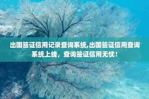 出国签证信用记录查询系统,出国签证信用查询系统上线，查询签证信用无忧！